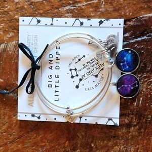 Alex And Ani Bangles Big And Little Dipper Bracelets Silver